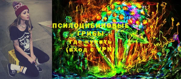 крисы Абдулино
