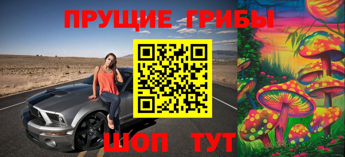 Майский  купить наркоту  Вход с VPN  Псилоцибиновые грибы GOLDEN TEACHER 